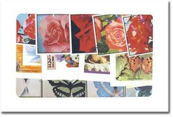 WORLD -  700 ASSORTED STAMPS - WORLD