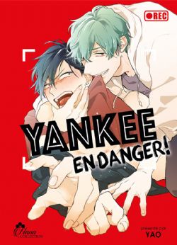 YANKEE EN DANGER ! -  (FRENCH V.) 01