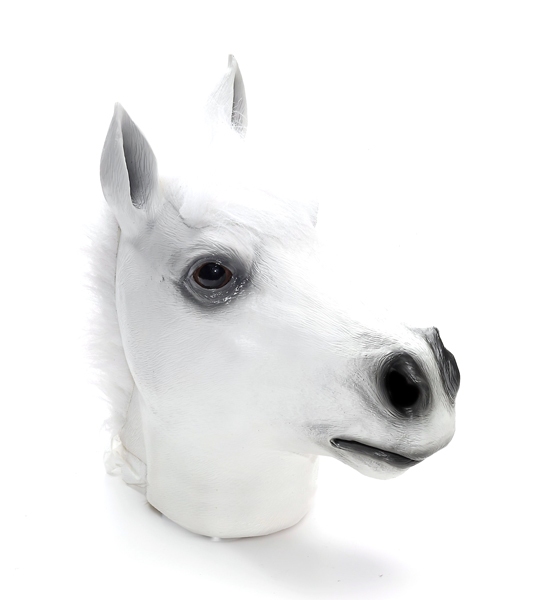 Animaux Tete De Cheval Blanc Cheval Accessoires Masques