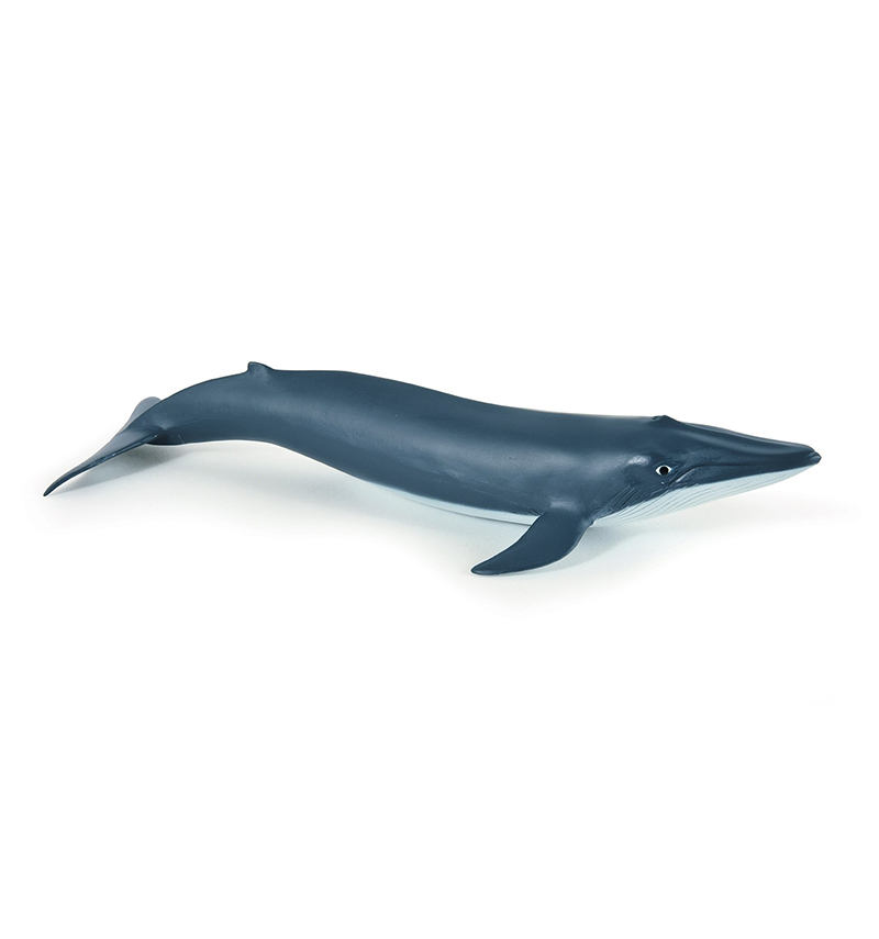 Figurine Papo Bebe Baleine Bleue Cm L Univers Marin Papo