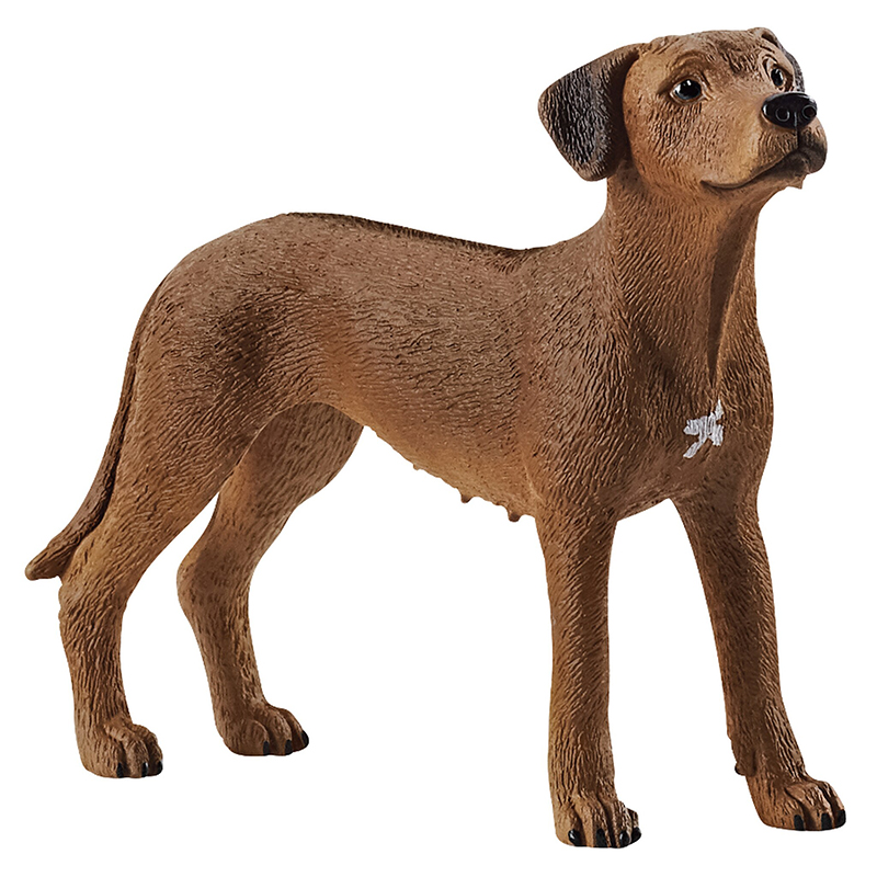 FIGURINE SCHLEICH - CHIEN DE RHODÉSIE À CRÊTE DORSALE (6.5 X 2 X 5.1 CM ...