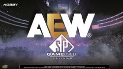 2025 AEW -  UPPER DECK SP GAME USED UNIVERSE - HOBBY (P7/B1)