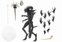 ALIEN -  FIGURINE ARTICULÉE DE XENOMORPH BRÛLÉ -  ALIEN ROMULUS