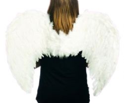 ANGE -  AILES EN PLUMES BLANCHES SOUPLE (31