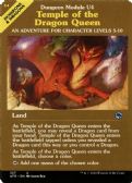 Adventures in the Forgotten Realms -  Temple of the Dragon Queen