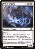 Adventures in the Forgotten Realms -  White Dragon