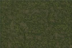 BATTLE MATS -  GRASSLANDS (3' X 5') -  ICONS OF THE REALM