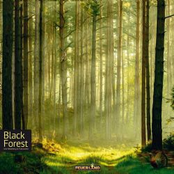 BLACK FOREST -  JEU DE BASE (ANGLAIS)