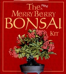 BONSAI -  THE MINI MERRY BERRY BONSAI KIT