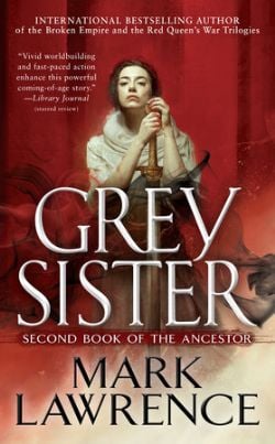 BOOK OF THE ANCESTOR, THE -  GREY SISTER MM 02