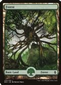 Battle for Zendikar -  Forest