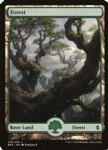 Battle for Zendikar -  Forest