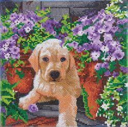 CRYSTAL ART -  Floral Pup