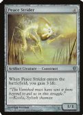 Conspiracy -  Peace Strider