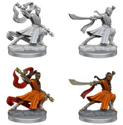 D&D FRAMEWORKS FIGURINE NON-PEINTE -  ELF MONK MALE -  FIGURINE JDR NON-PEINTES DUNGEONS & DRAGONS
