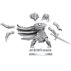 D&D FRAMEWORKS FIGURINE NON-PEINTE -  WIGHT -  FIGURINE JDR NON-PEINTES DUNGEONS & DRAGONS