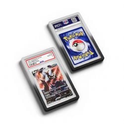 DRAGON SCALE -  PROTÈGE-COINS POUR PSA - RADIANT TWILIGHT