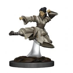 DUNGEONS & DRAGONS 5 -  FEMALE HUMAN MONK -  ICONS OF THE REALMS