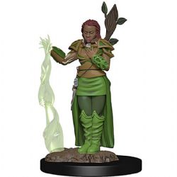 DUNGEONS & DRAGONS -  HUMAN FEMALE DRUID -  ICONS OF THE REALMS