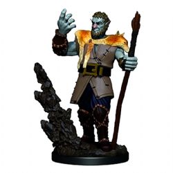 DUNGEONS & DRAGONS -  MALE FIRBOLG DRUID -  ICONS OF THE REALMS