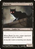 Dark Ascension -  Black Cat