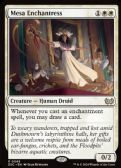 Duskmourn: House of Horror Commander -  Mesa Enchantress