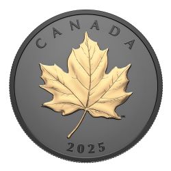 FEUILLE D'ÉRABLE -  ÉLÉGANTE FEUILLE D'ÉRABLE DORÉE (EN ARGENT) -  PIÈCES DU CANADA 2025 02