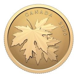 FEUILLES D'ÉRABLE -  FEUILLE D'ÉRABLE EN OR - ÉTINCELANTES FEUILLES D'ÉRABLE -  PIÈCES DU CANADA 2025