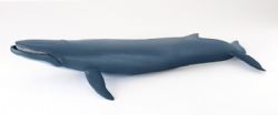 FIGURINE PAPO -  BALEINE BLEUE (6 CM DE HAUT ET 40 CM DE LONG) -  MARINE LIFE 56037