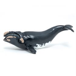 FIGURINE PAPO -  BALEINE FRANCHE -  MARINE LIFE 56057