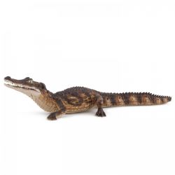 FIGURINE PAPO -  CAIMAN -  WILD ANIMAL KINGDOM 50311