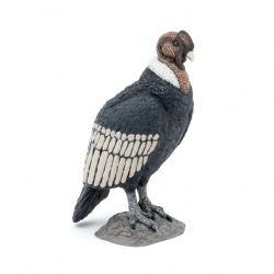 FIGURINE PAPO -  CONDOR -  WILD ANIMAL KINGDOM 50293