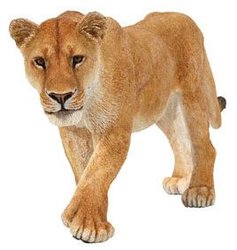 FIGURINE PAPO -  LIONNE (6 CM) -  WILD ANIMAL KINGDOM 50028