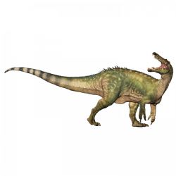 FIGURINE PAPO -  SUCHOMIMUS -  THE DINOSAURS 55101