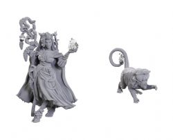 FIGURINES JEU DE ROLE -  FEARNE CALLOWAY & MISTER -  CRITICAL ROLE