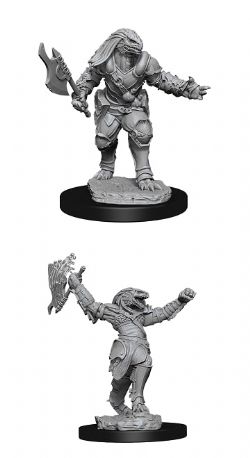 FIGURINES JEU DE ROLE -  FEMALE DRAGONBORN FIGHTER -  DUNGEONS & DRAGONS D&D NOLZUR'S MARVELOUS UN