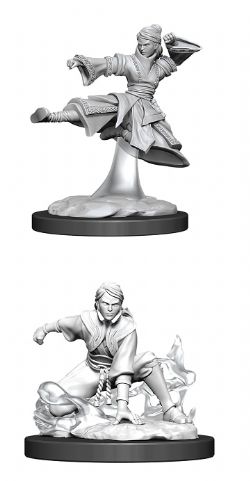 FIGURINES JEU DE ROLE -  FEMALE HUMAN MONK -  DUNGEONS & DRAGONS D&D NOLZUR'S MARVELOUS UN