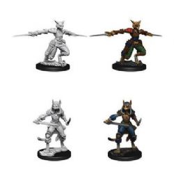 FIGURINES JEU DE ROLE -  FEMALE TABAXI ROGUE (2) -  DUNGEONS & DRAGONS 5 D&D NOLZUR'S MARVELLOUS M