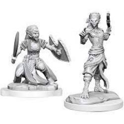 FIGURINES JEU DE ROLE -  SHIFTER FIGHTER -  DUNGEONS & DRAGONS D&D NOLZUR'S MARVELOUS MI