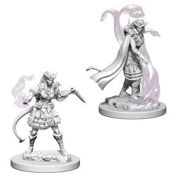 FIGURINES JEU DE ROLE -  TIEFLING FEMALE SORCEROR -  D&D NOLZUR'S MARVELOUS MINIATURES DUNGEONS & DRAGONS 5