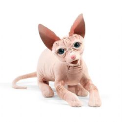 FOLKMANIS -  CHAT SPHYNX