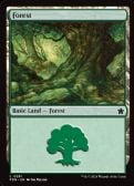 Foundations -  Forest