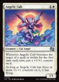 Foundations Jumpstart -  Angelic Cub