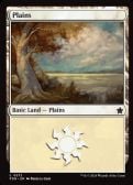 Foundations -  Plains