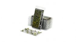 GAMERS GRASS -  BANANIER -  LASER PLANTS