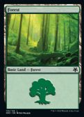 Game Night: Free-for-All -  Forest