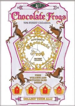 HARRY POTTER -  AIMANT ''CHOCO GRENOUILLE''