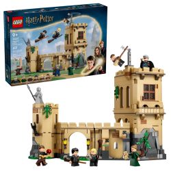 HARRY POTTER -  LE CHÂTEAU DE POUDLARD : LES LEÇONS DE VOL (651 PIECES) 76447