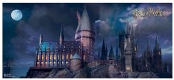 HARRY POTTER -  TAPIS DE BUREAU 