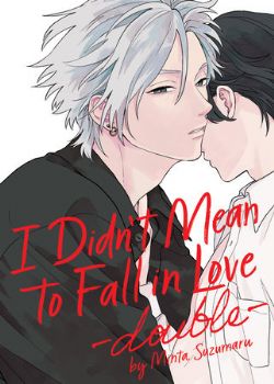 I DIDN'T MEAN TO FALL IN LOVE -  -DOUBLE- (V.A.)